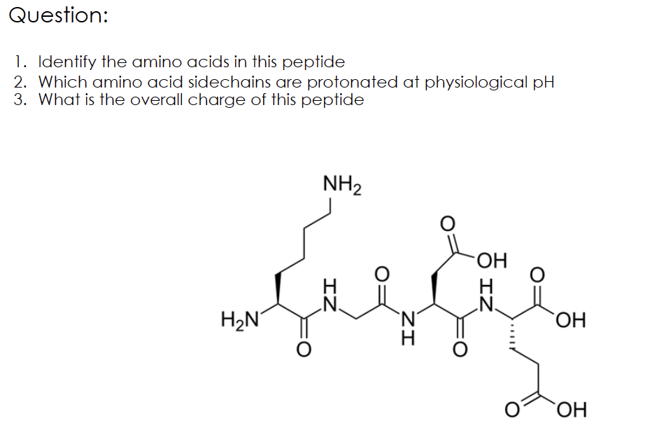 Solved Question:Identify the amino acids in this | Chegg.com