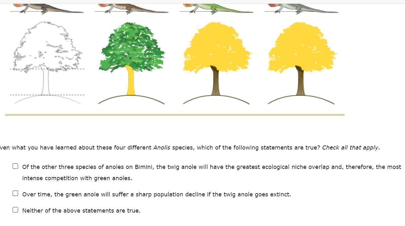 solved-2-resource-partitioning-in-anole-lizard-species-less-chegg