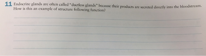 solved-endocrine-glands-are-often-called-ductless-glands-chegg