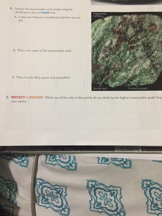 Solved E. Analyae this metamorphic rock sample using the | Chegg.com