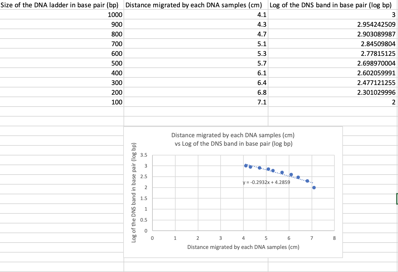 1. Indicate the size of each diagnostic digest band | Chegg.com