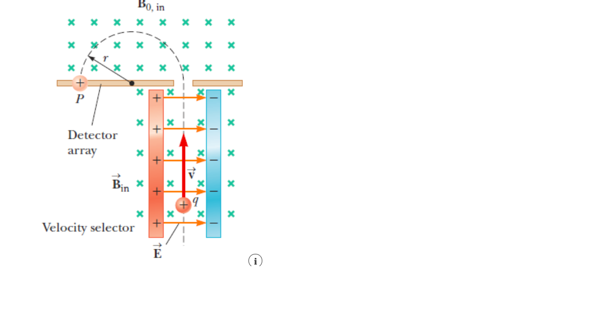 Solved You are working in a mass spectrometer laboratory, | Chegg.com