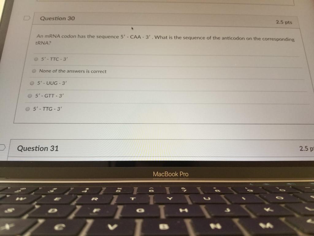 Solved Question 30 2.5 pts An mRNA codon has the sequence | Chegg.com