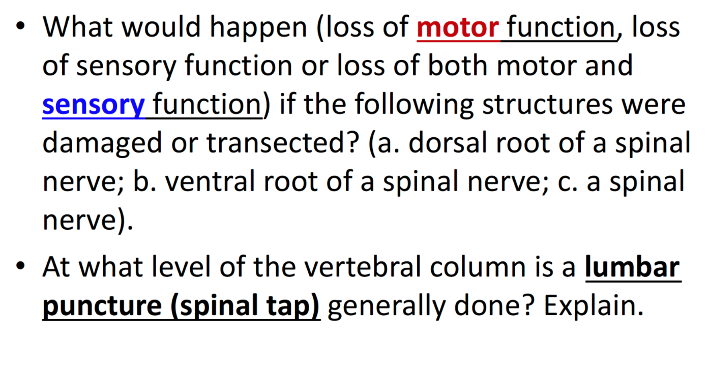 Solved What would happen (loss of motor function, loss of