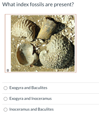 Solved What Index Fossils Are Present? B Exogyra And | Chegg.com