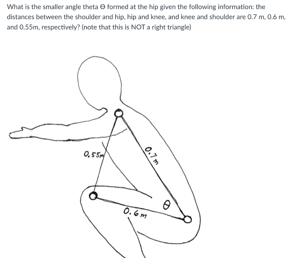 solved-what-is-the-smaller-angle-theta-formed-at-the-hip-chegg