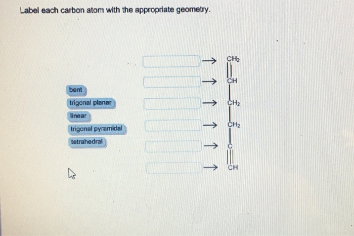 Solved Label each carbon atom with the appropriate geometry. | Chegg.com