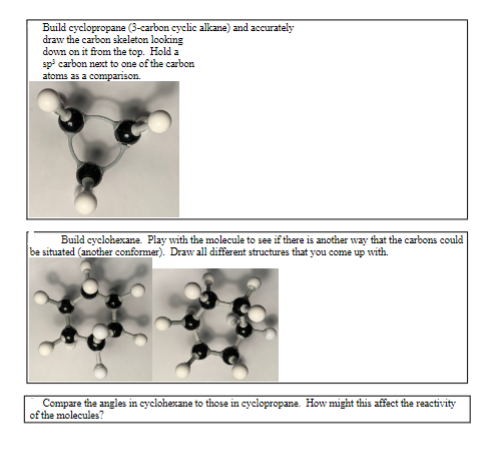 Solved 1.Accurately draw the carbon sekeleton looking down | Chegg.com