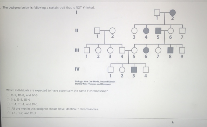 Solved . The pedigree below is following a certain trait | Chegg.com