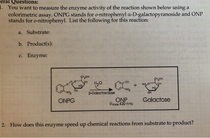 Solved eral Questions: . You want to measure the enzyme | Chegg.com