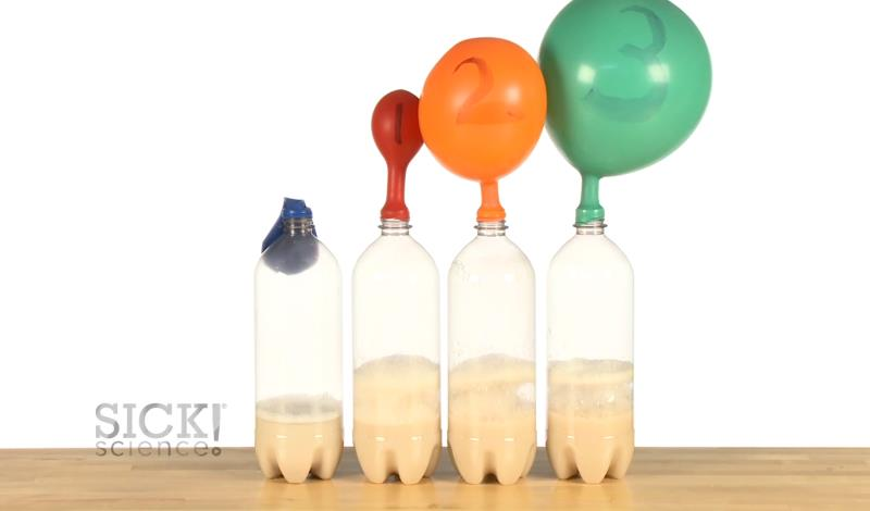 cellular respiration experiment yeast balloons