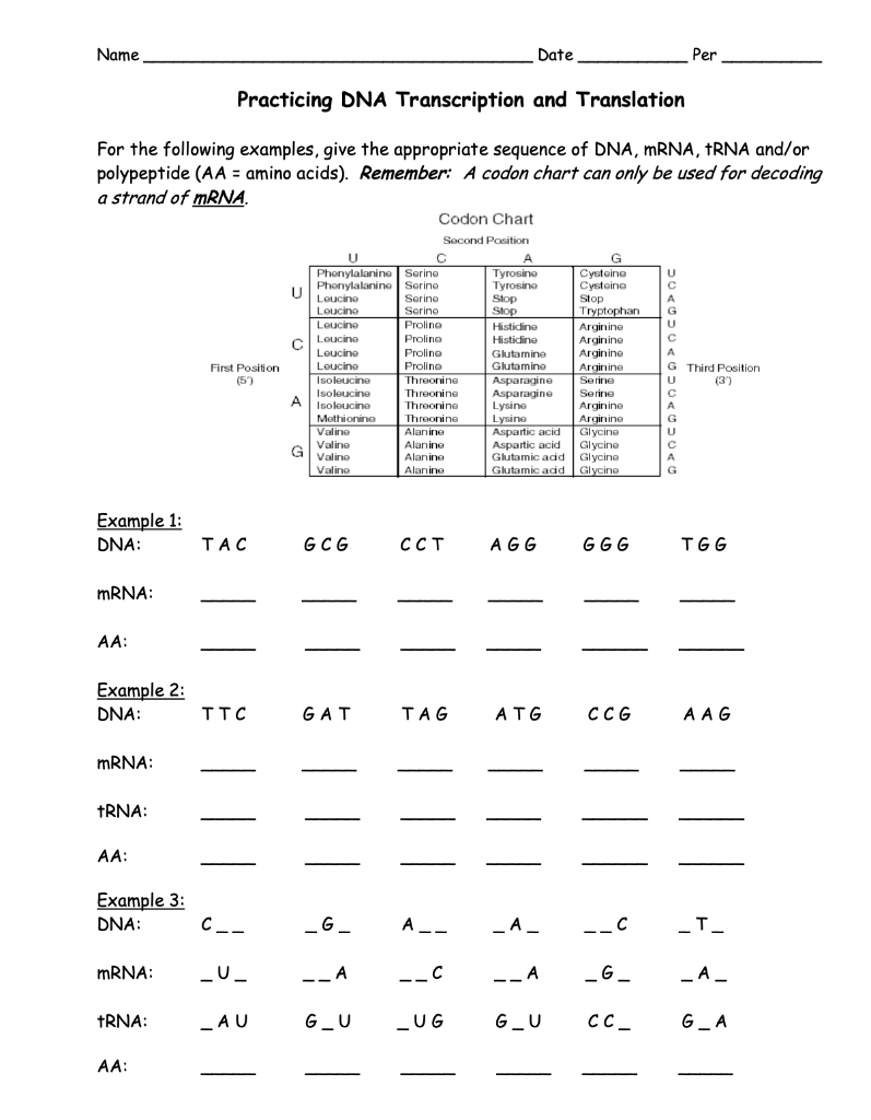 Solved Name Date Per Practicing DNA Transcription and | Chegg.com