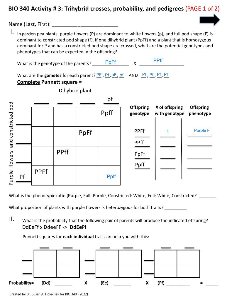 Solved BIO 340 Activity # 3: Trihybrid crosses, probability, | Chegg.com