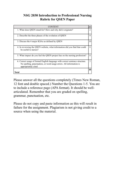 Professional nursing paper format