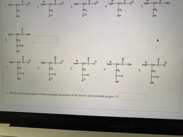 Solved For each of the amino acids shown below, select the | Chegg.com