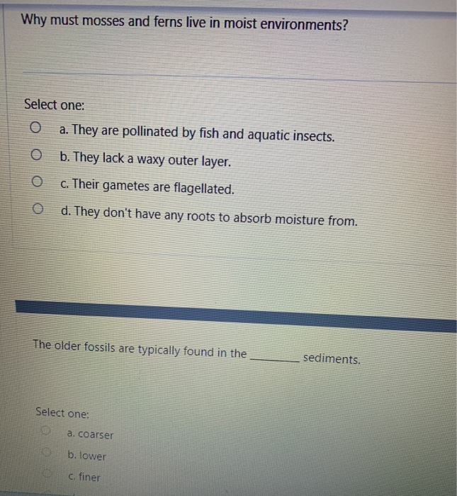 Solved Why must mosses and ferns live in moist environments?