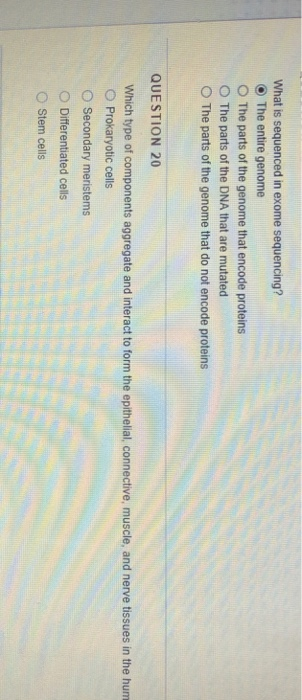 Solved QUESTION 29 The difference between phenotype and | Chegg.com