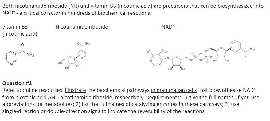 Both Nicotinamide Riboside (NR) And Vitamin B3 | Chegg.com