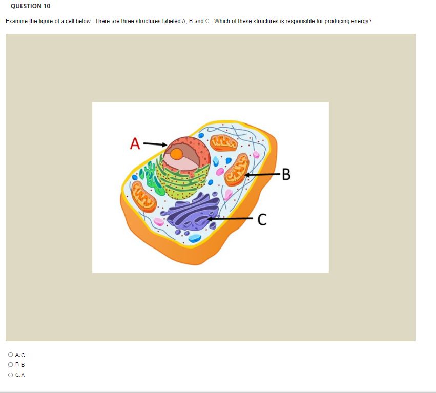 Solved Please answer all 4 parts of question, I know | Chegg.com