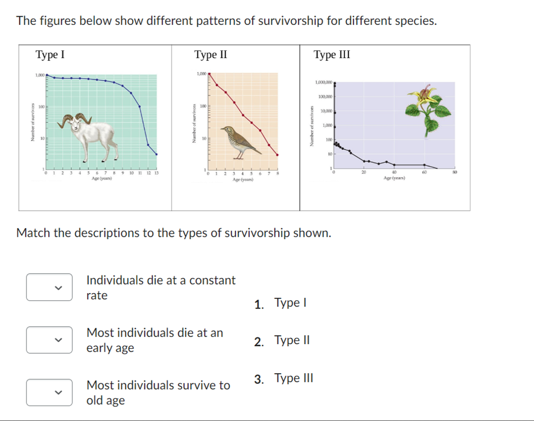 The figures below show different patterns of | Chegg.com