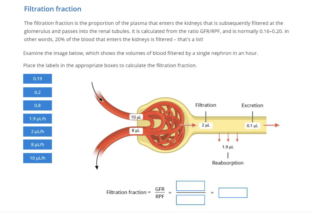 Solved Filtration fraction The filtration fraction is the