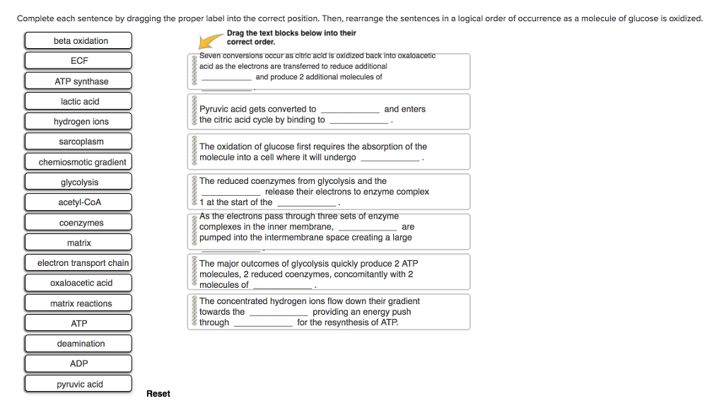 how to write a critical essay outline