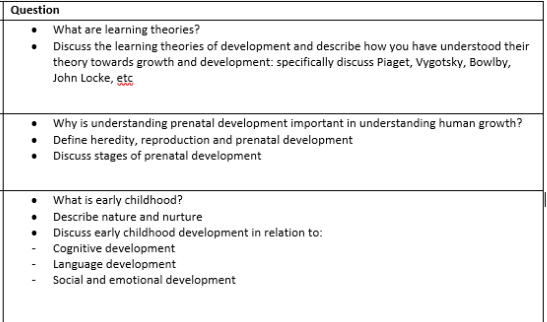 describe theories in relation to cognitive development