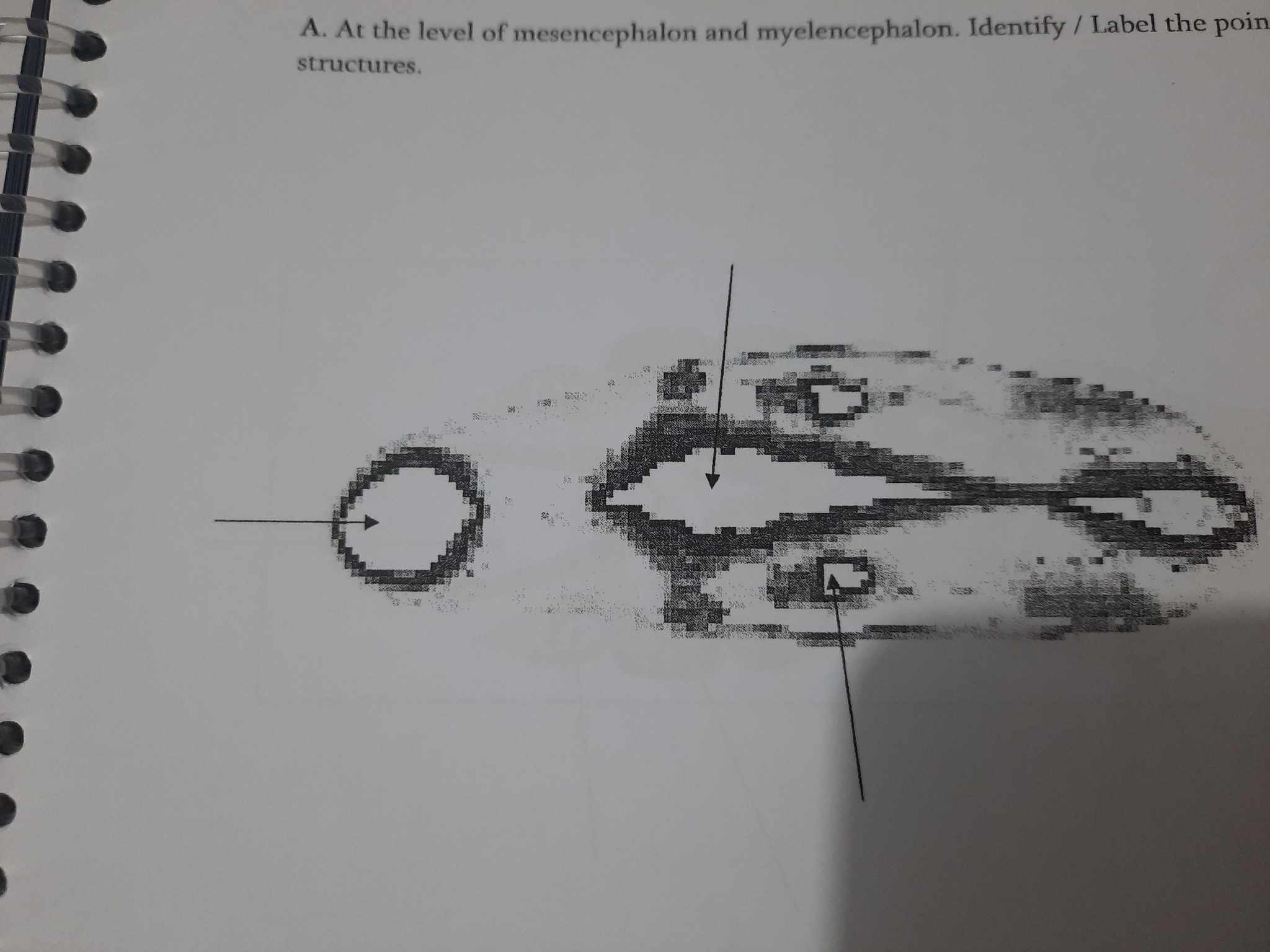 Label the Following: | Chegg.com