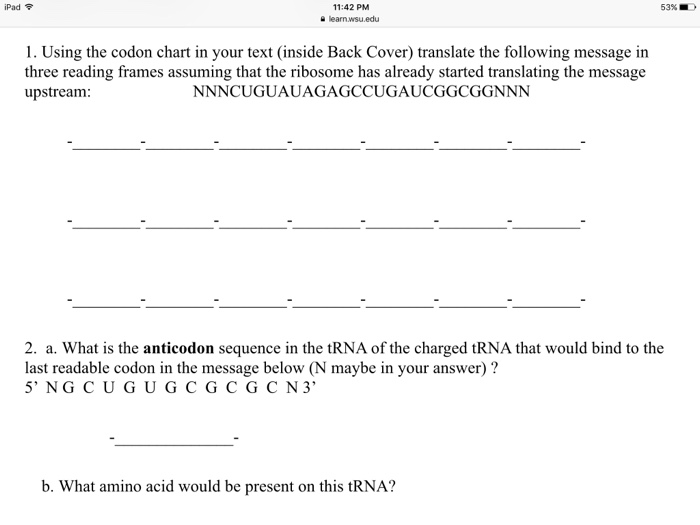 Solved Using the codon chart in your text (inside Back | Chegg.com