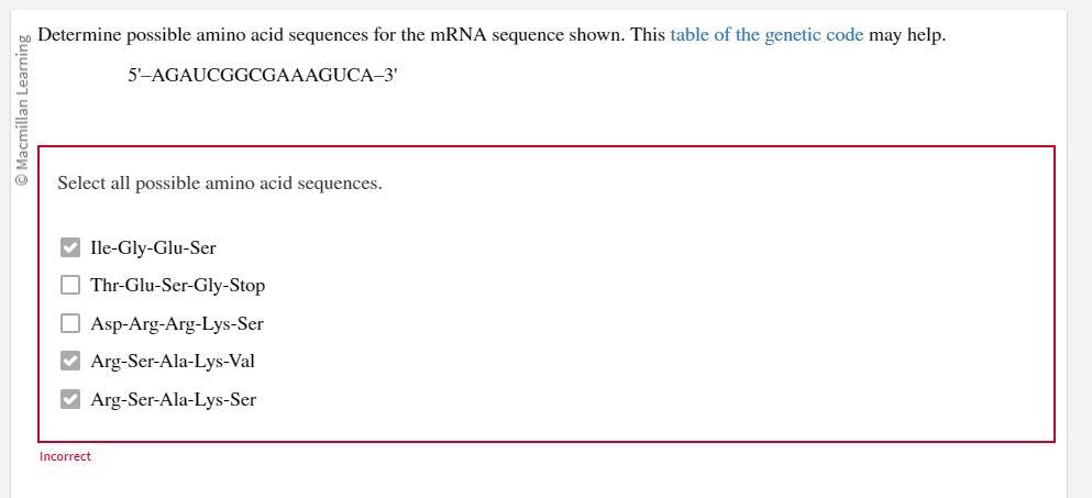 Solved Determine Possible Amino Acid Sequences For The Mrna 3492