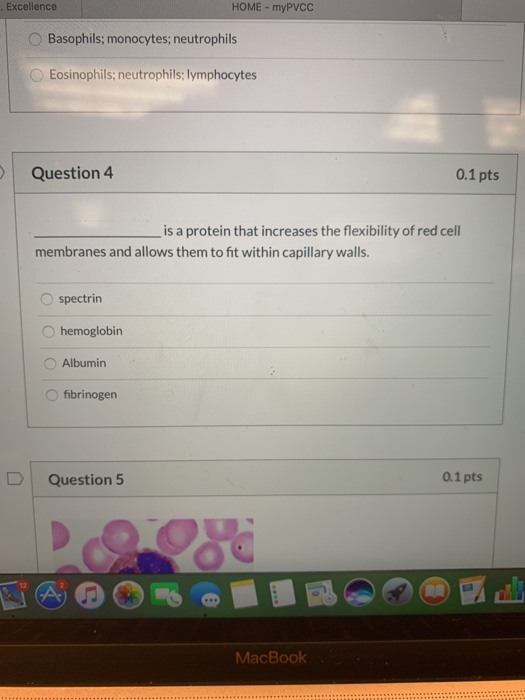 Solved Question 1 0.1pts Blood is composed of % red blood | Chegg.com