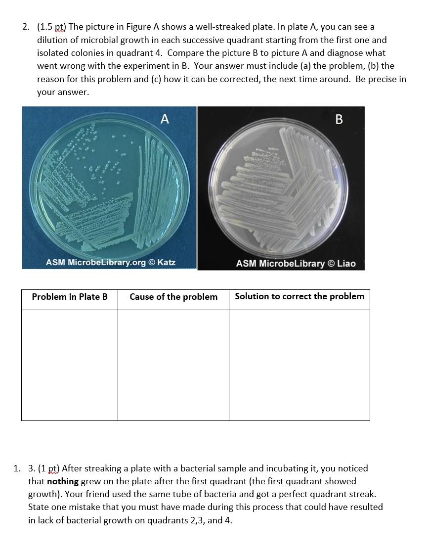 2. (1.5 pt) The picture in Figure A shows a well-streaked plate. In plate A, you can see a dilution of microbial growth in ea