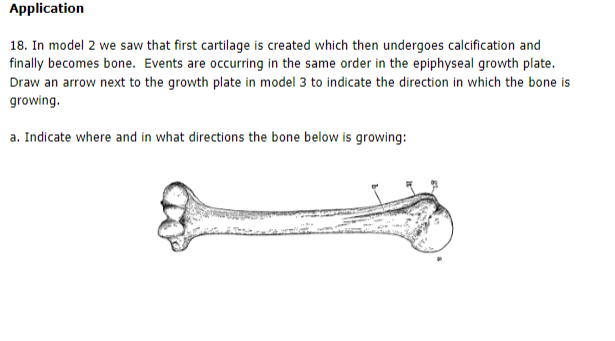 Solved Application 18. In model 2 we saw that first | Chegg.com
