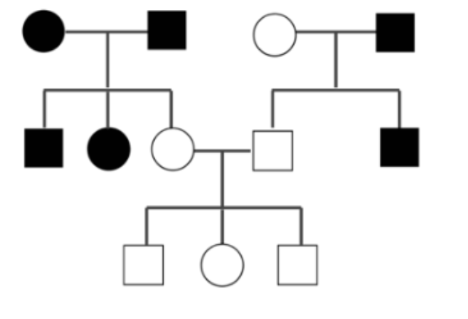 Solved What is the inheritance pattern of the trait (filled | Chegg.com