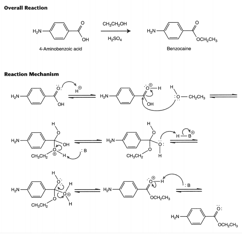 Solved 3. What is the purpose of adding sodium bicarbonate | Chegg.com