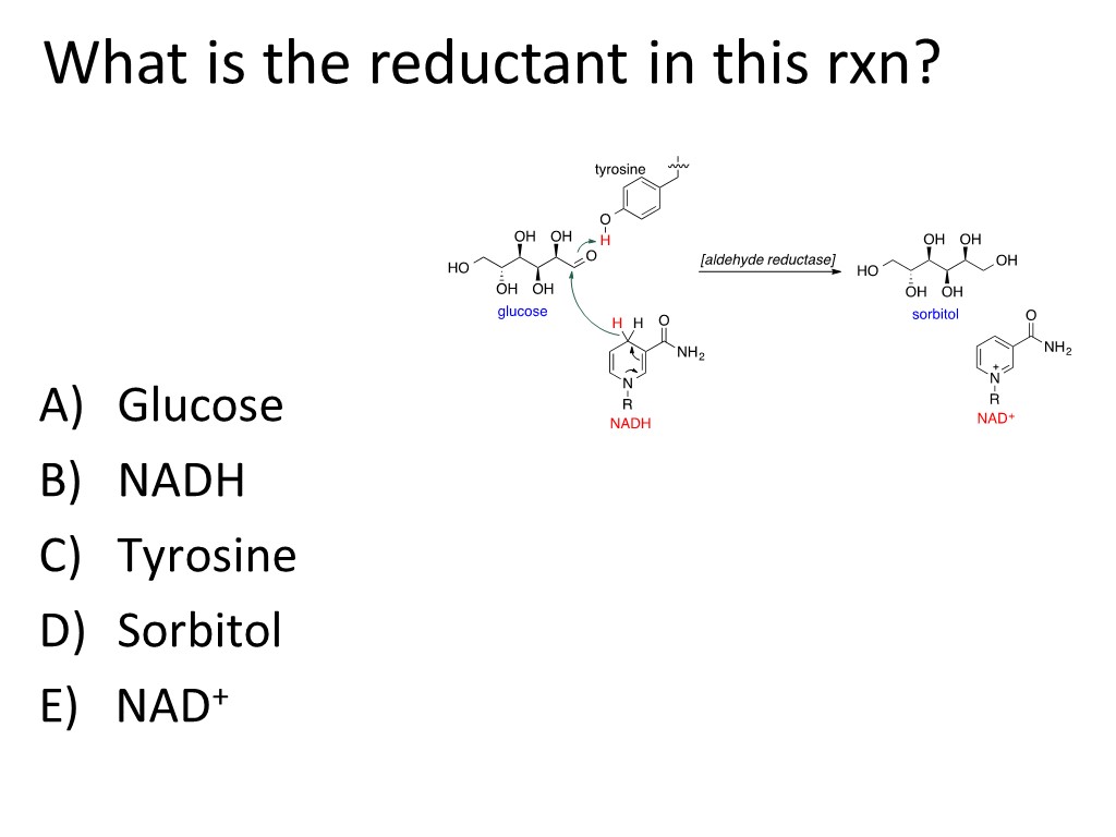 Negative-stranded RNA viruses need an RNA-dependent | Chegg.com