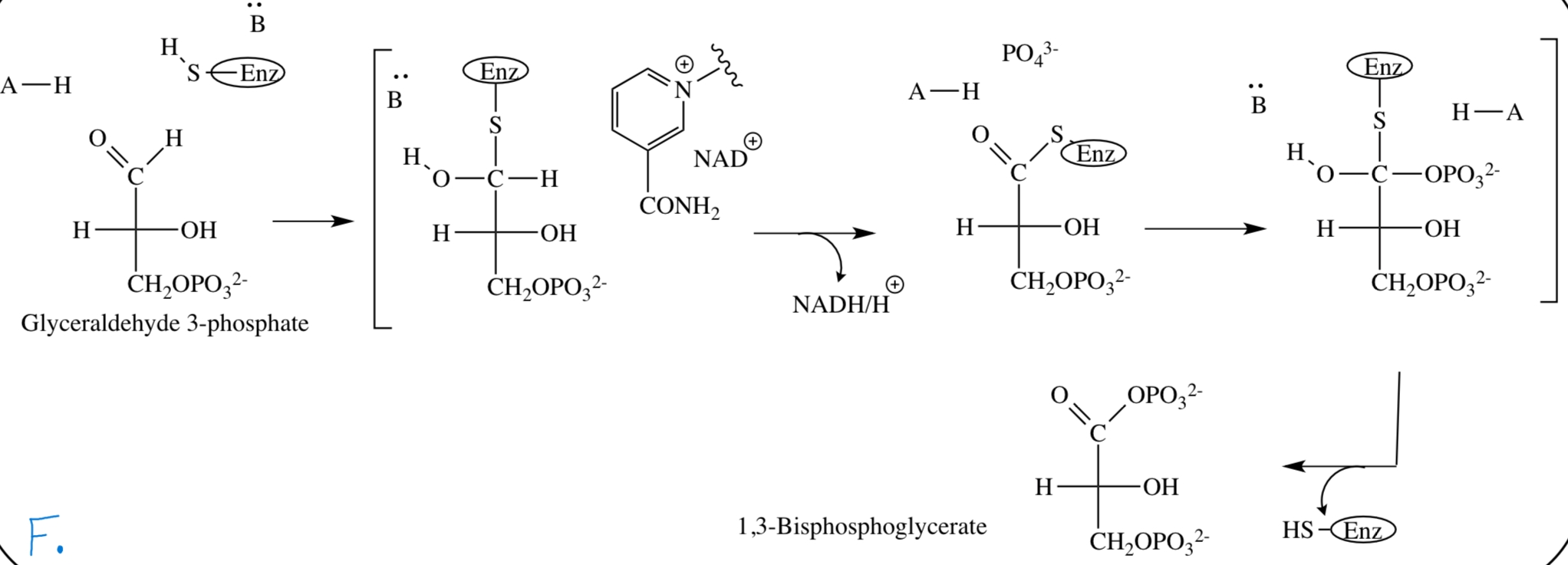 Solved For Question F: - Draw Electron Flow Mechanism 