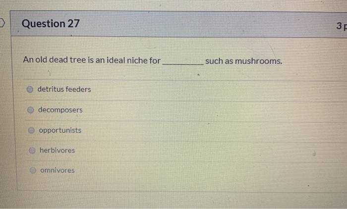Solved Question 18 3 Pts The Carrying Capacity Of An Envi