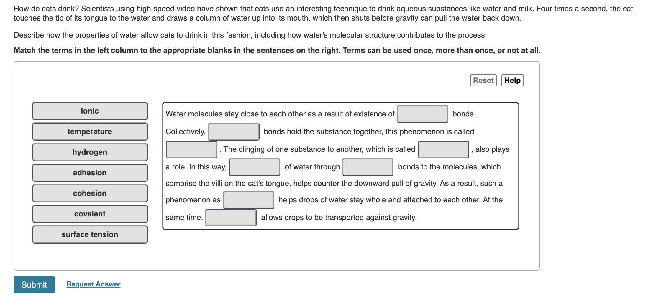 solved-how-do-cats-drink-scientists-using-high-speed-video-chegg