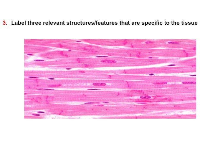 Solved 3. Label three relevant structures/features that are | Chegg.com