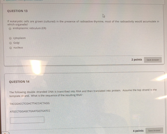 Solved QUESTION 2 Match the following activities to the | Chegg.com