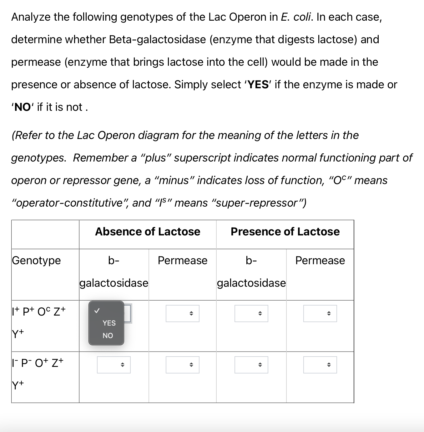 Solved Normal function of the lac operon means that the cell