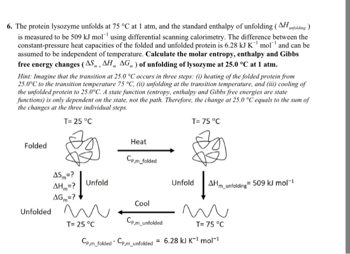 Solved 6. The Protein Lysozyme Unfolds At 75 °C At 1 Atm, | Chegg.com