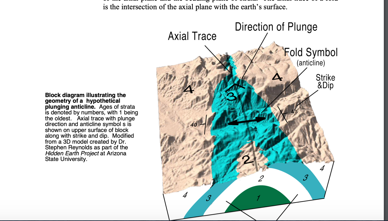 Solved 1. For the top surface of the model of a syncline, | Chegg.com