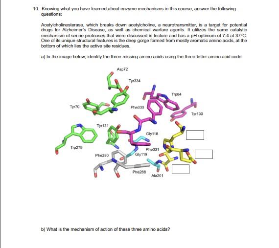 Solved 10. Knowing What You Have Learned About Enzyme | Chegg.com