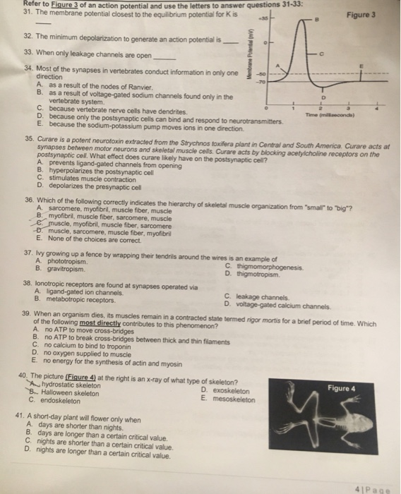 Solved Rerer to Figure 3 of an action potential and use the | Chegg.com