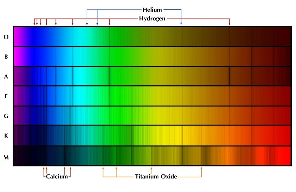 Solved The above are stellar spectra from the main spectral | Chegg.com