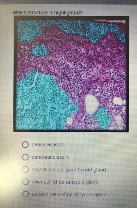 Anatomy And Physiology Archive | February 09, 2018 | Chegg.com