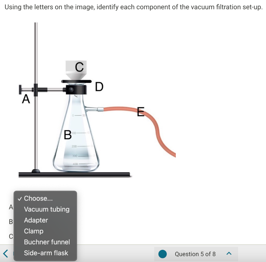 Solved Using The Letters On The Image, Identify Each | Chegg.com