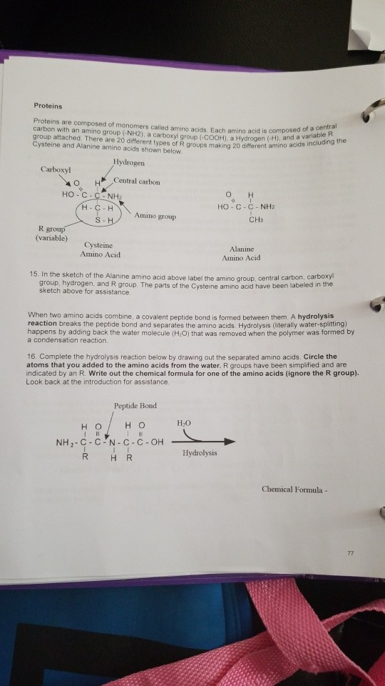 Solved Proteins Proteins are composed of monomers called